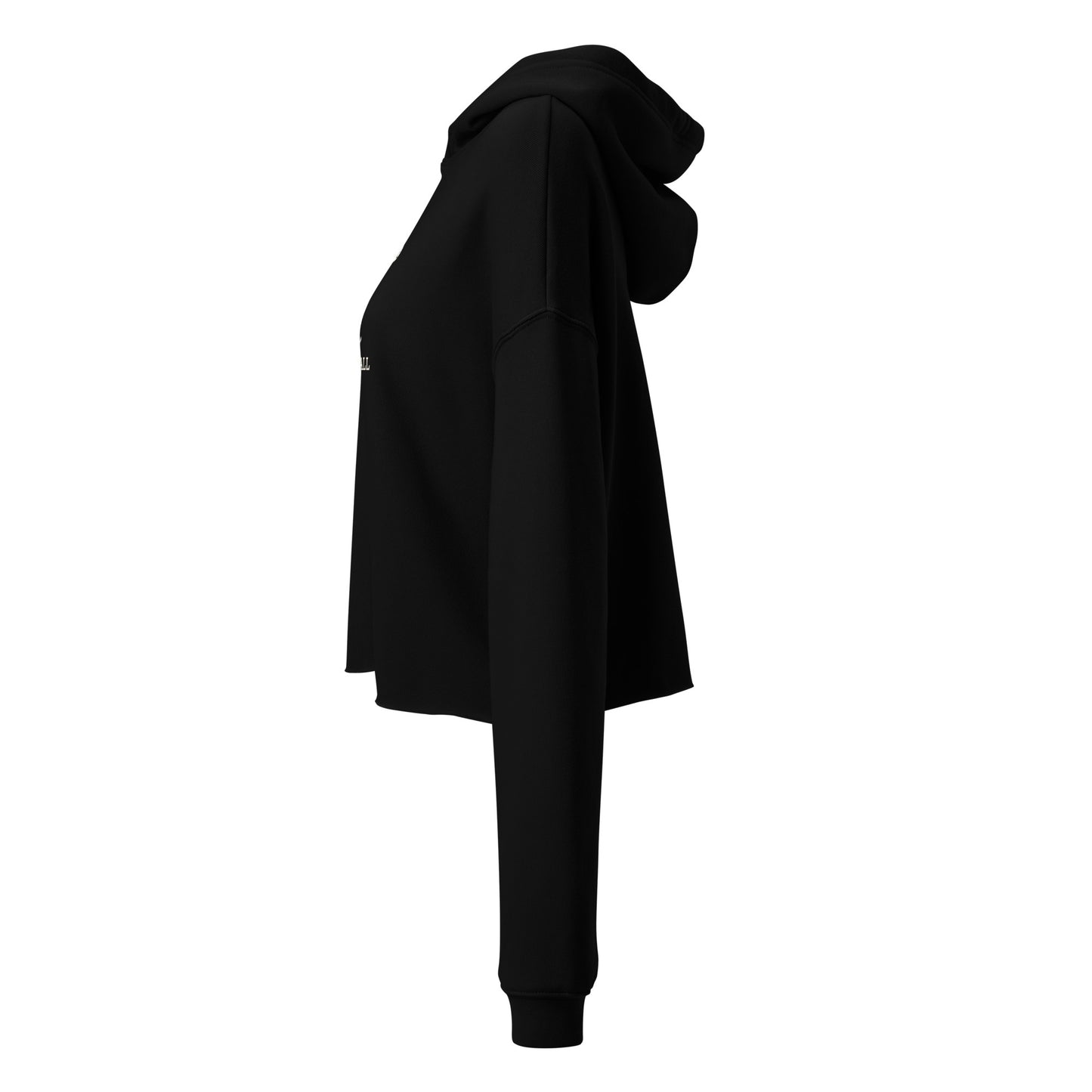 MoonBall Media Crop Hoodie